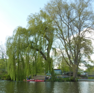 Am Lösegrabenwehr in Lüneburg ist Endstation für Kanutouren