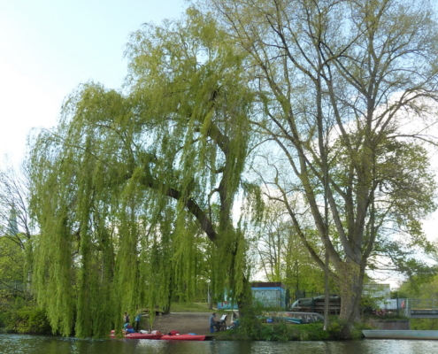 Am Lösegrabenwehr in Lüneburg ist Endstation für Kanutouren
